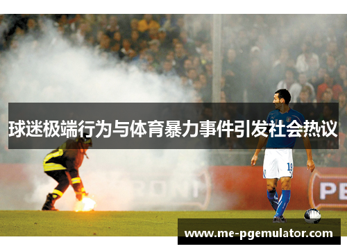 球迷极端行为与体育暴力事件引发社会热议 球迷极端行为与体育暴力事件引发社会热议